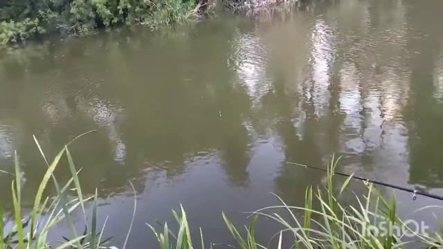 Ловля уклейки! смотреть онлайн