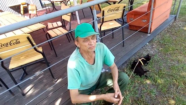Гнилое общество заслуживает то, что получает, так как это есть следствие его поведения в целом смотреть онлайн