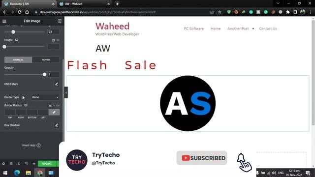 Lecture 3 | Elementor Basics - Image Widget Style | Inter Level | Premium WordPress Course смотреть онлайн
