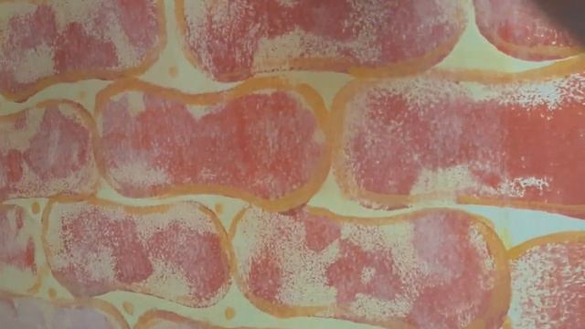 Обновила кухонный фартук. Бюджетный вариант. Своими руками и вот,что получилось ? смотреть онлайн