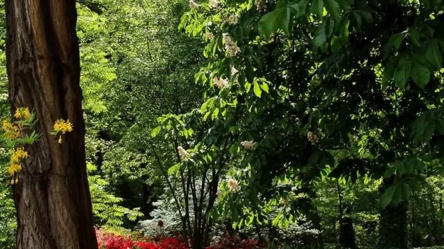 Вернувшись раньше, она застала сестру с ним, но то как она поступила они запомнят навсегда смотреть онлайн