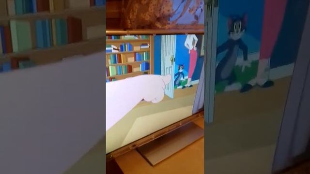 Защита экрана телевизора tv screen protector смотреть онлайн