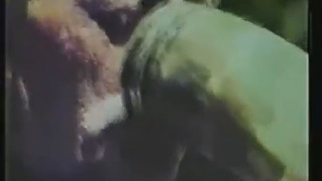 Пицунда назад в СССР! Абхазия 1968 смотреть онлайн