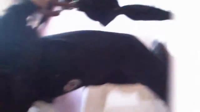 МГУ Пацан идёт с туалетной бумагой смотреть онлайн