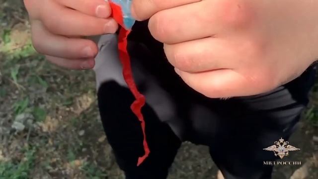 Ирина Волк: В Омске направлено в суд уголовное дело о преступном сообществе онлайн-наркоторговцев смотреть онлайн