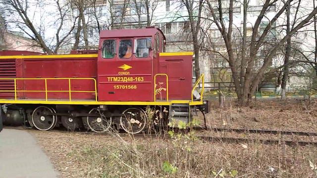 "Давно его не было" Тепловоз ТГМ23Д48-163 проезжает через Ж/Д переезд. смотреть онлайн