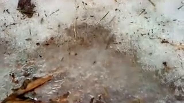 Интересное явленые воды смотреть онлайн