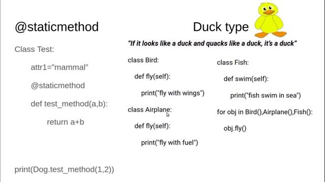 STATIC METHOD AND DUCK TYPE смотреть онлайн