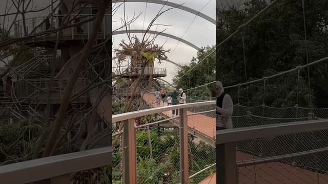 Сафари Парк в Дубае