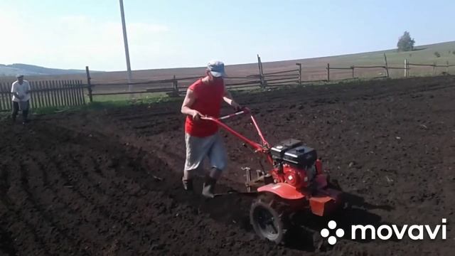 Посадка картофеля под плуг 2019 года смотреть онлайн