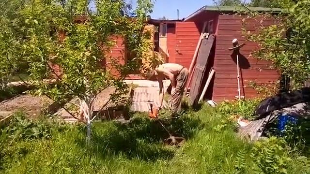 Косим, косим,  косим траву.  Кису дразнят птички.