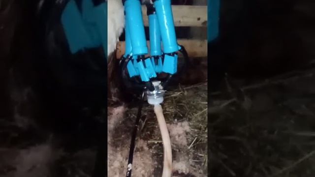 Автодойка для коровы смотреть онлайн