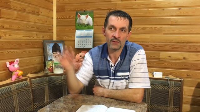 СВИНОВОДСТВО — ВСЕ ПЛЮСЫ И МИНУСЫ