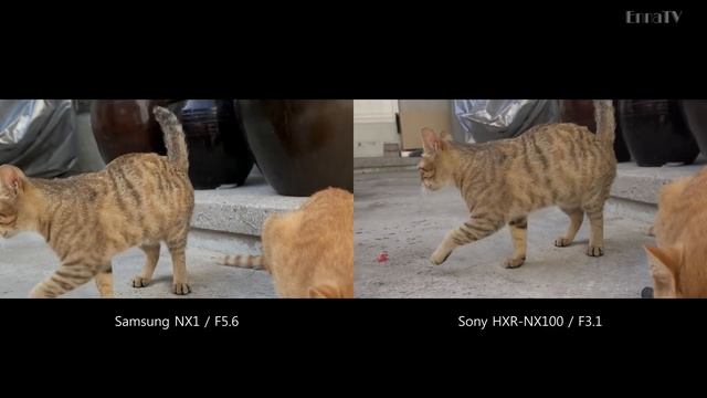 Samsung NX1 vs Sony HXR-NX100 - AF Comparison / Mirrorless vs Camcoder смотреть онлайн