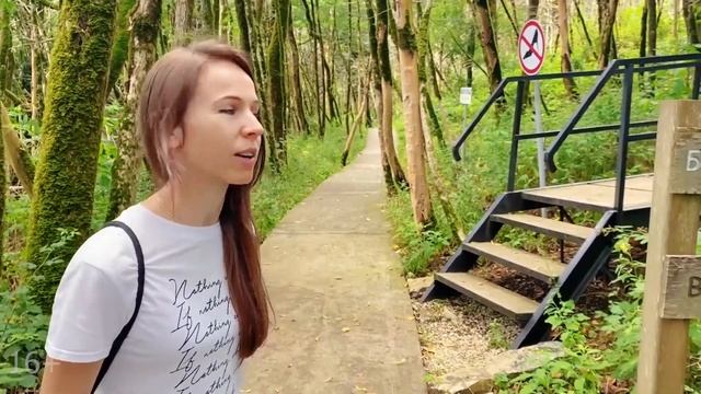 Топ лучших мест Сочи | Где отдохнуть в России? Имеретинский курорт | Сочи | Адлер | Олимпийский пар смотреть онлайн