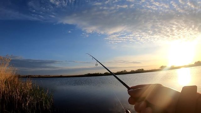 Микроджиговый японец за 15 000 руб! Испытания Jackson Ocean Gate Jog 72UL