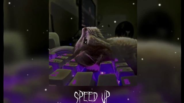 треки из тт 2023 ||speed Up||