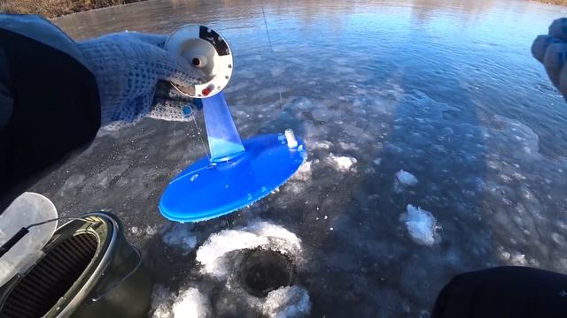 Расставил Жерлицы в Корягах и Началось! Руки в кровь! Порыбачил в новом месте! смотреть онлайн