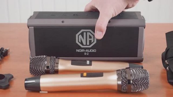 NOIR-audio K-2 караоке система с двумя беспроводными микрофонами и колонкой мощностью 120 Ватт