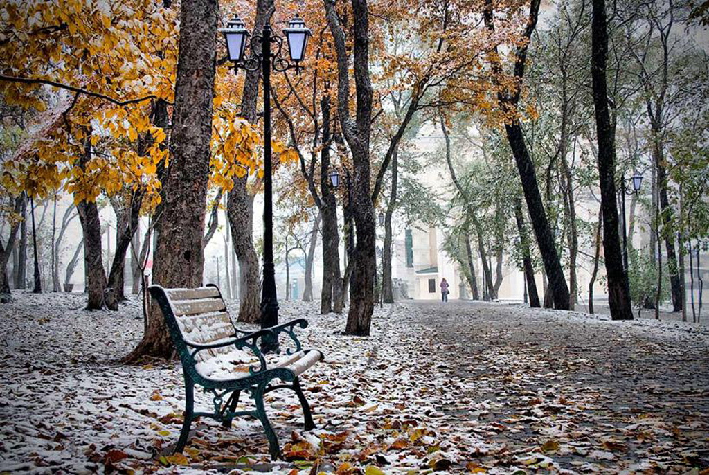 Первый снег