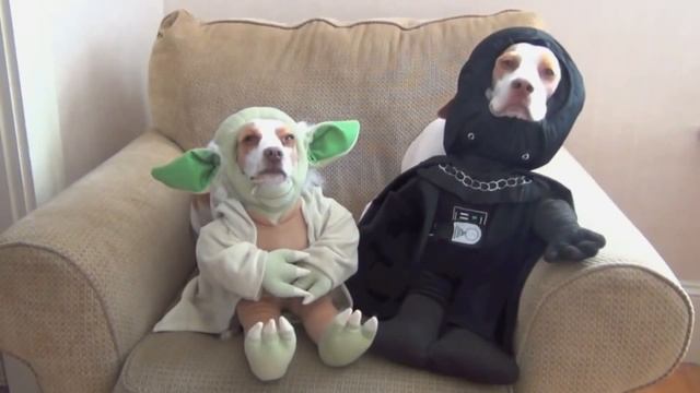 Как древний человек приручил собаку. И что из этого вышло смотреть онлайн