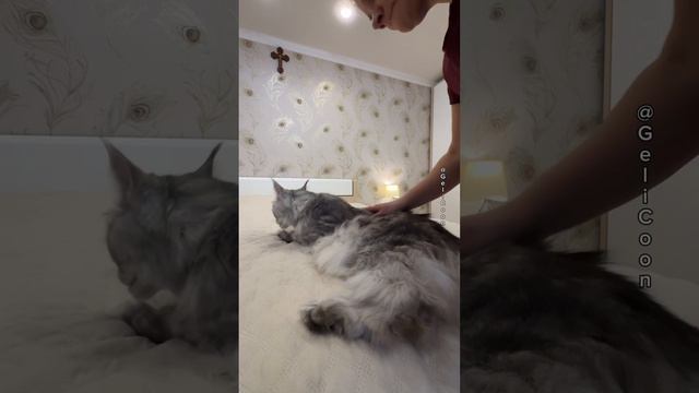 долгий груминг в трех минутах💪