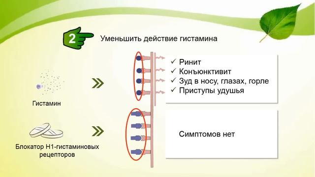 Комплексная продажа при сезонной аллергии смотреть онлайн
