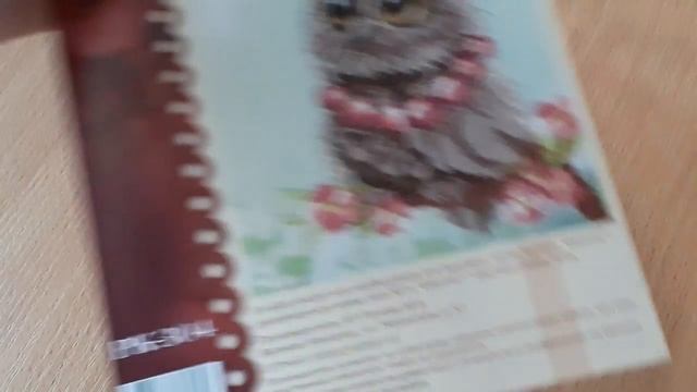 Отчет 8. СП "Такие разные совы..." смотреть онлайн