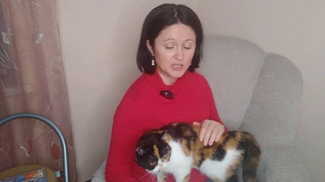 Г. Х. Андерсен. "Стойкий оловянный солдатик". Читает Наталья Синика смотреть онлайн