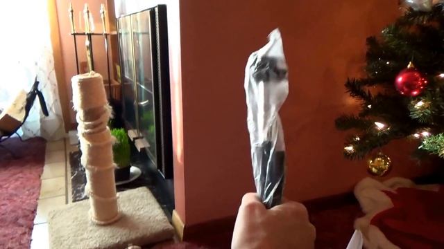 #566 США Аляска Анкоридж Набор аксессуаров и креплений для камеры Гоу Про смотреть онлайн