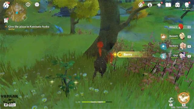 give the pizza to kamisato ayaka genshin impact смотреть онлайн