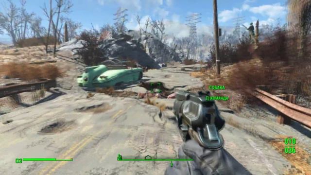 Собака иллюминат смотреть онлайн