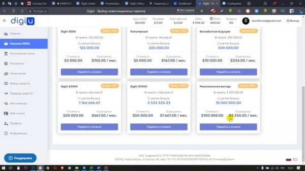 Инвестиции в Искусственный Интеллект. Обзор IT проекта - DigiU