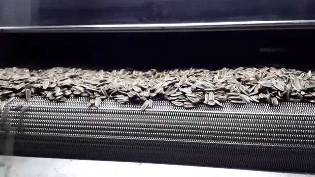 EKO 195 Печь для жарки семечек, орехов/ Nuts roasting machine смотреть онлайн