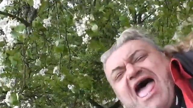 ПРОРОК САМБОЙ -й =А ЛЮБИМЫМ ДАРИТЬ НАДО ЗВЕЗДЫ==супер-КЛИП смотреть онлайн