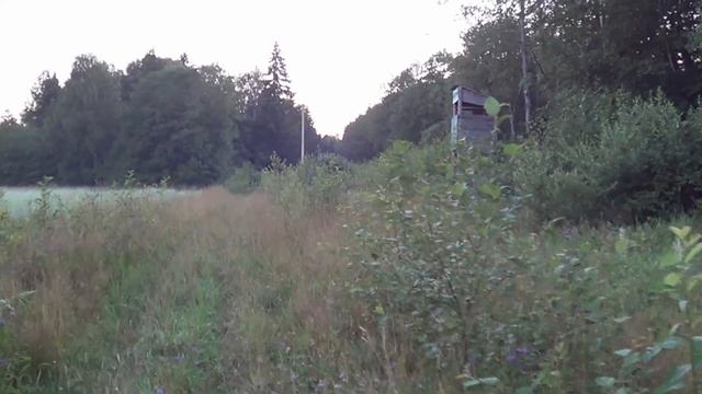 Охота на кабана.Часть 6. Boar hunting смотреть онлайн