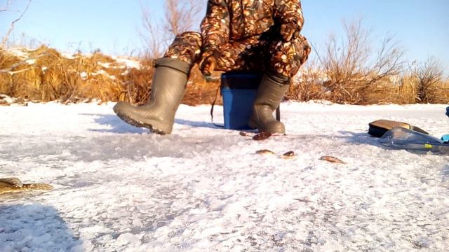 Рыбалка зимой, окунь, щука смотреть онлайн