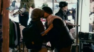 Голуби целуются на крыше.... Сергей Шааб