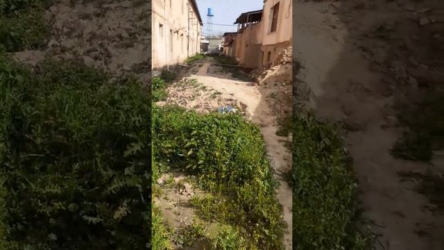 Денау смотреть онлайн
