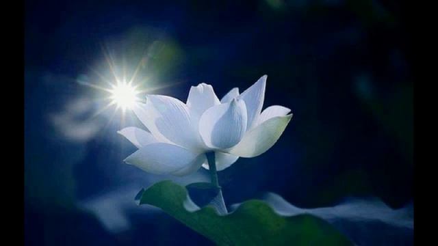 Влад. Семенов В ПОИСКАХ ЛОТОСА ч.12