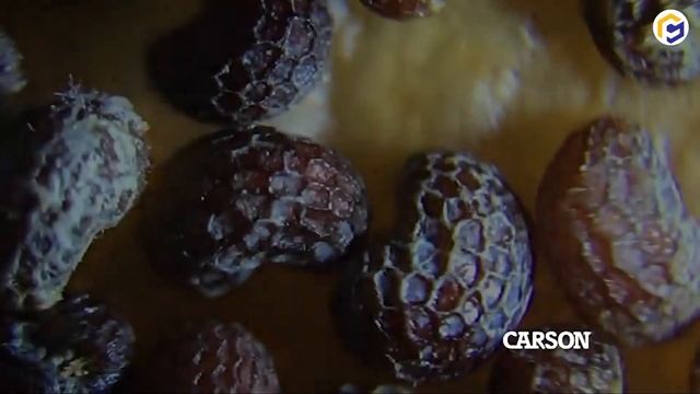 11 Most Recent Gadgets You Have Never Seen Before смотреть онлайн