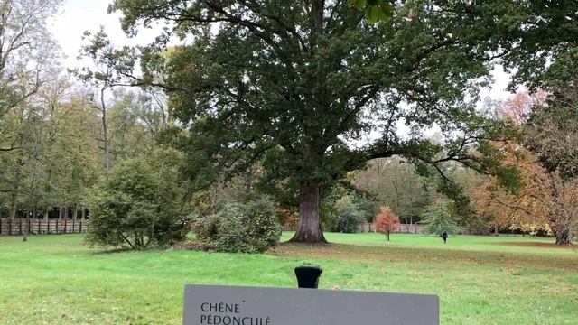 Наше путешествие по Франции в октябре. Третья часть. Версаль, дворцы, сады и фонтаны. Музей карет