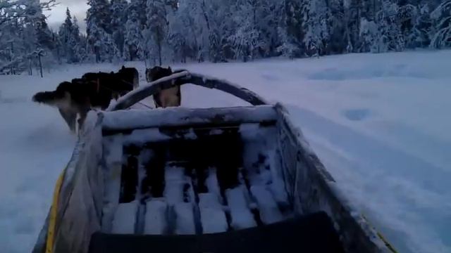 Сабааааааачкииииии.3gp