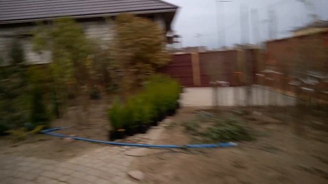 Задекорировал ажурный забор с обратной стороны смотреть онлайн