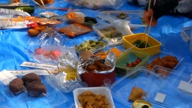 Цветение сакуры в Токио началось на пять дней раньше смотреть онлайн