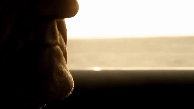 Mercedes Benz SLS AMG. The Experience смотреть онлайн