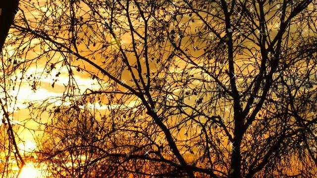 футажи# для положительных эмоций# смотреть онлайн