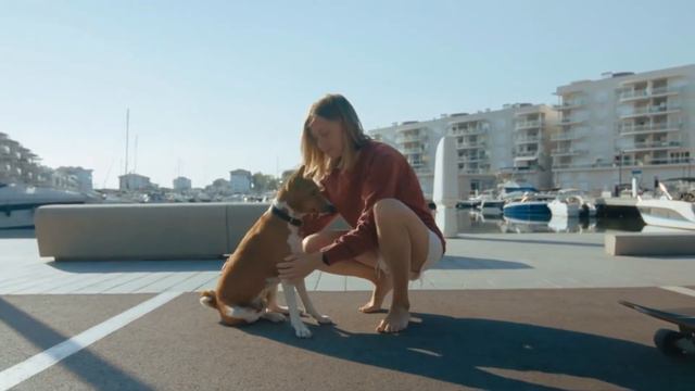 10 INSANE Basenji Facts that will SHOCK you! смотреть онлайн