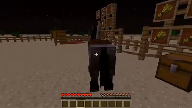 Как же приручить лошадь? СМОТРИТЕ! смотреть онлайн