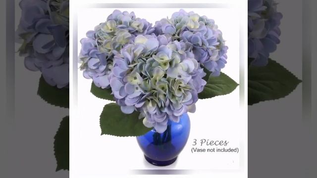 Hydrangea (Set of 10) смотреть онлайн
